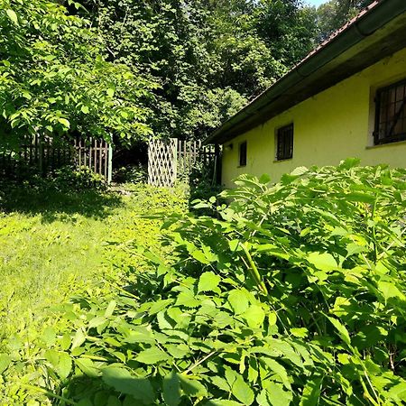 Apartman Lucie Liběchov Exteriér fotografie